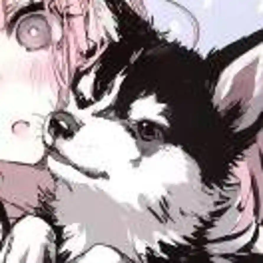 星斗惊动舸的头像