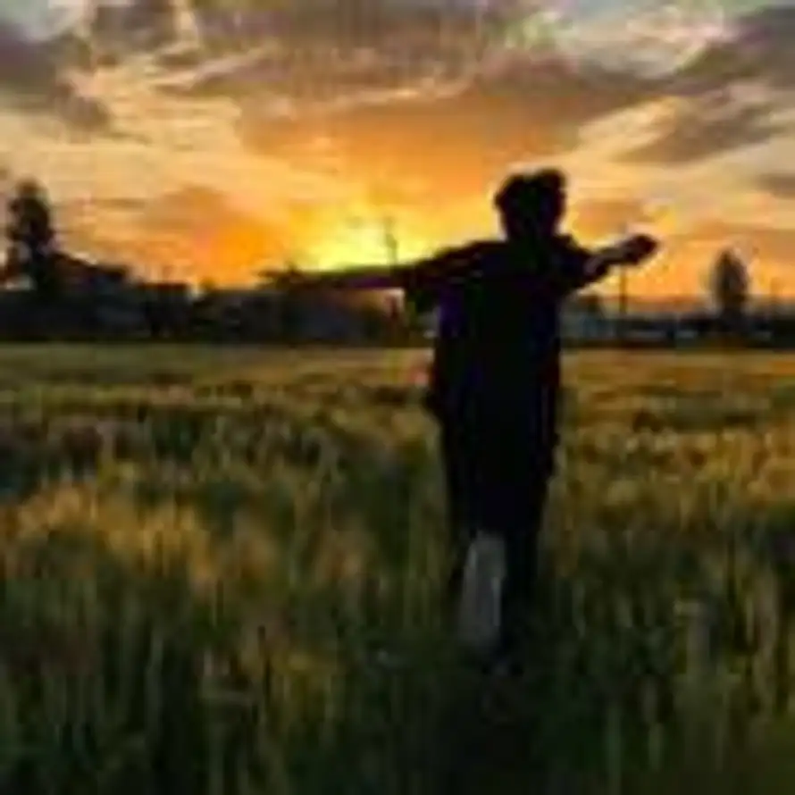 暮云春树的头像