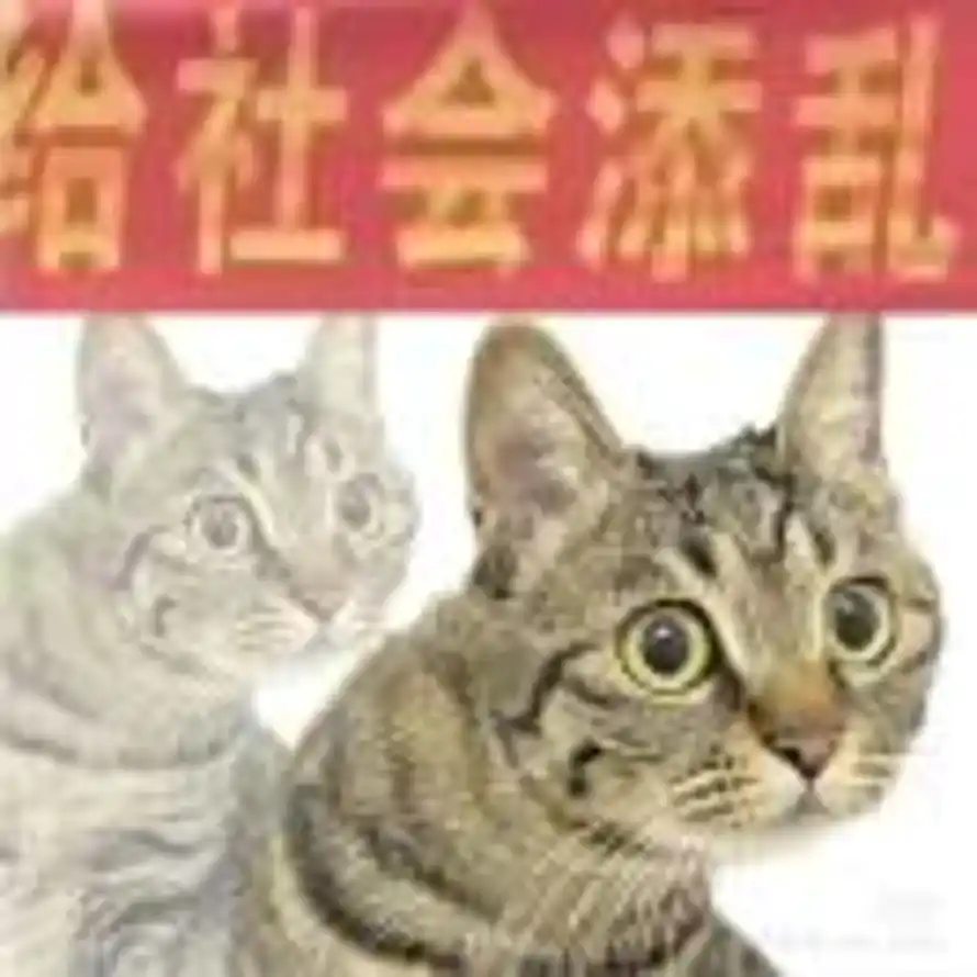 柚子柚子大柚子的头像