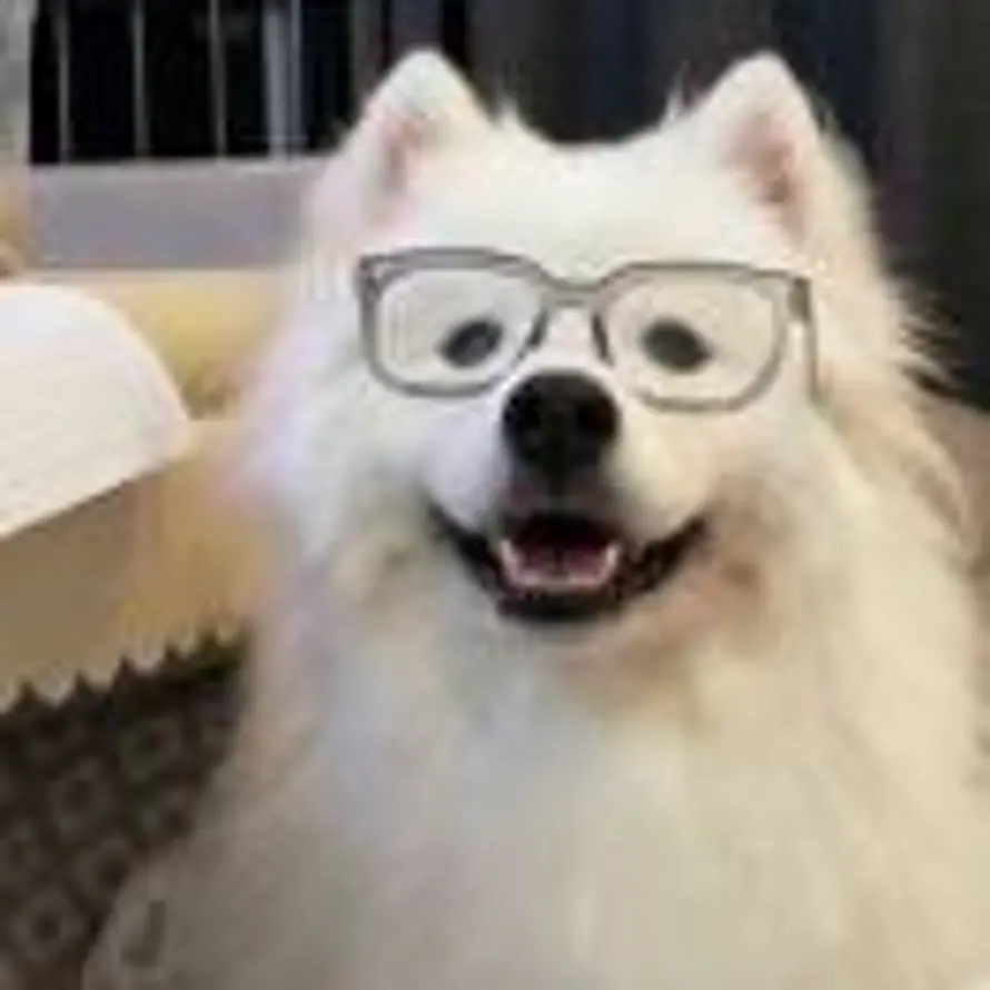 玄澈的头像