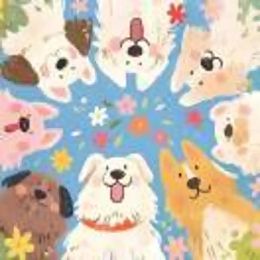 一期一会的头像