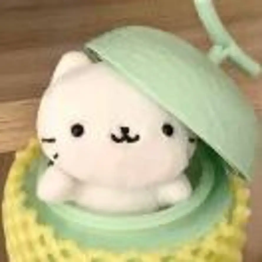 Kamelien的头像