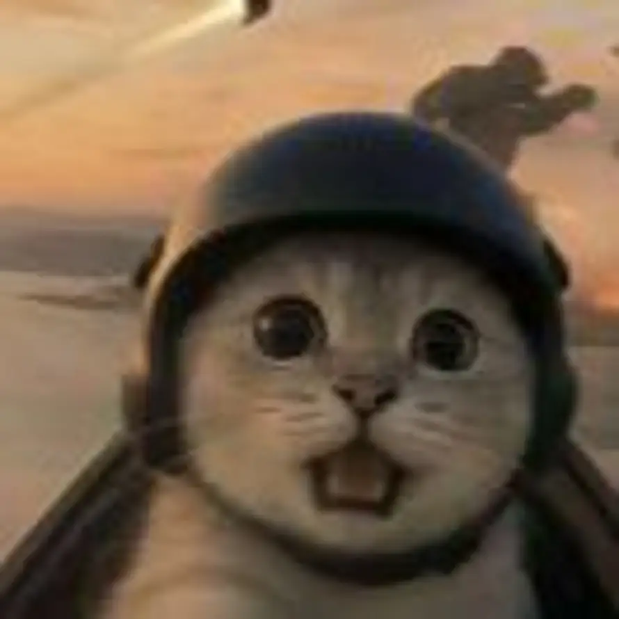 红薯🍠终结者的头像