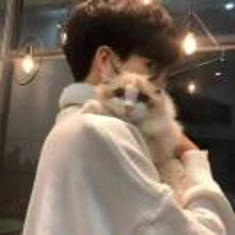 橙橙的用户头像 - 哲风壁纸