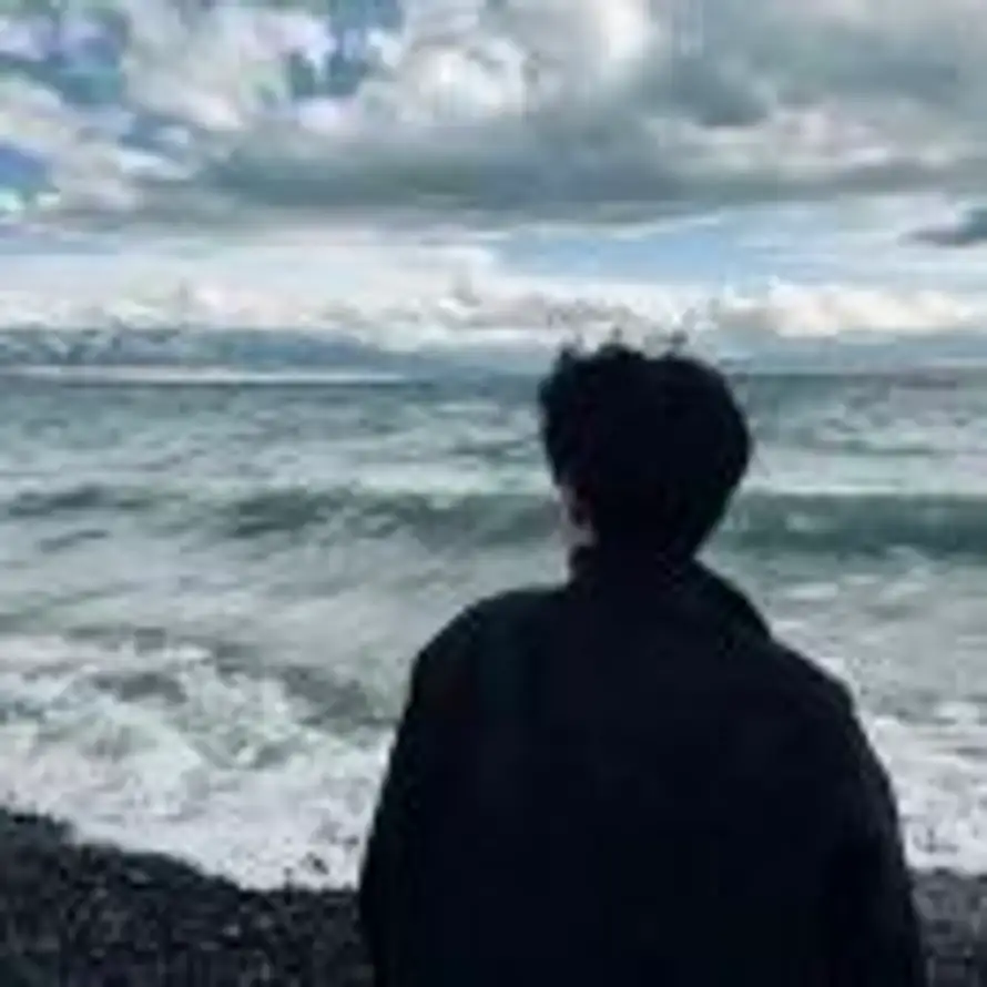 Robin Lee🐳的头像