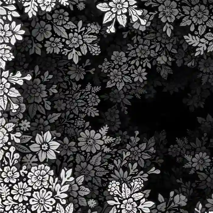 用户Dim.的头像