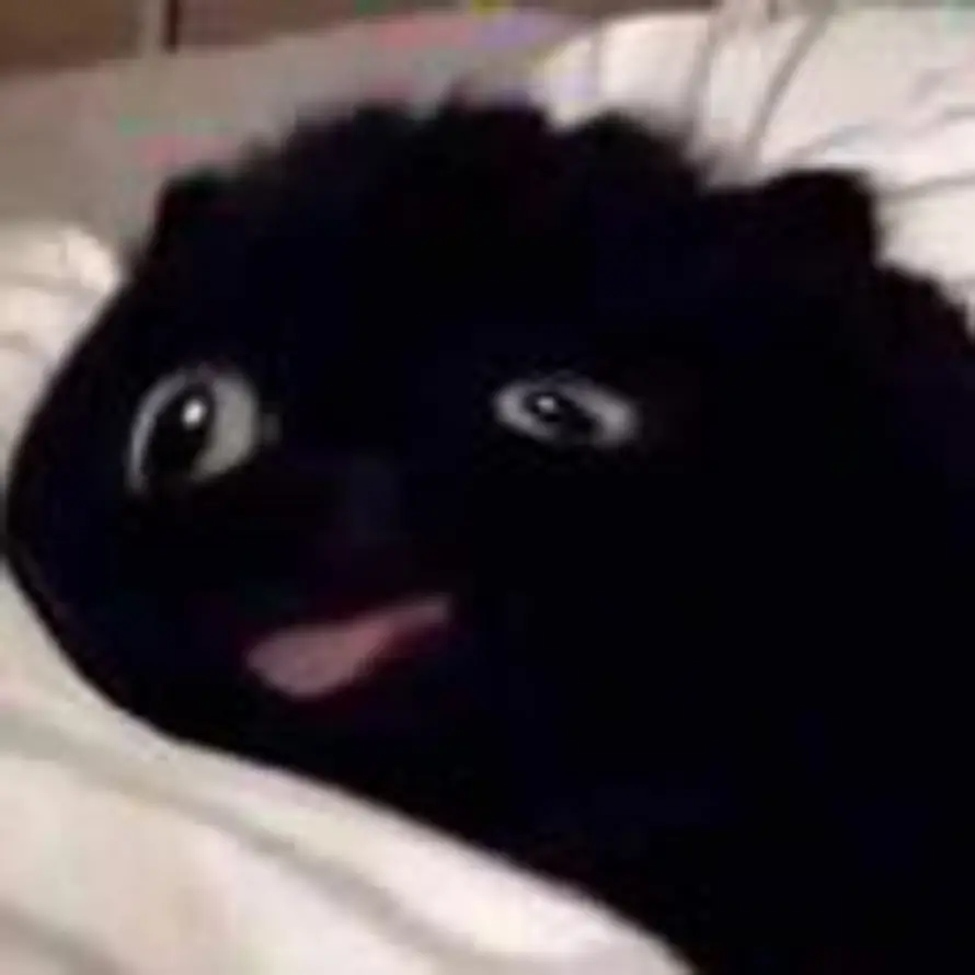 不眠飞行的头像