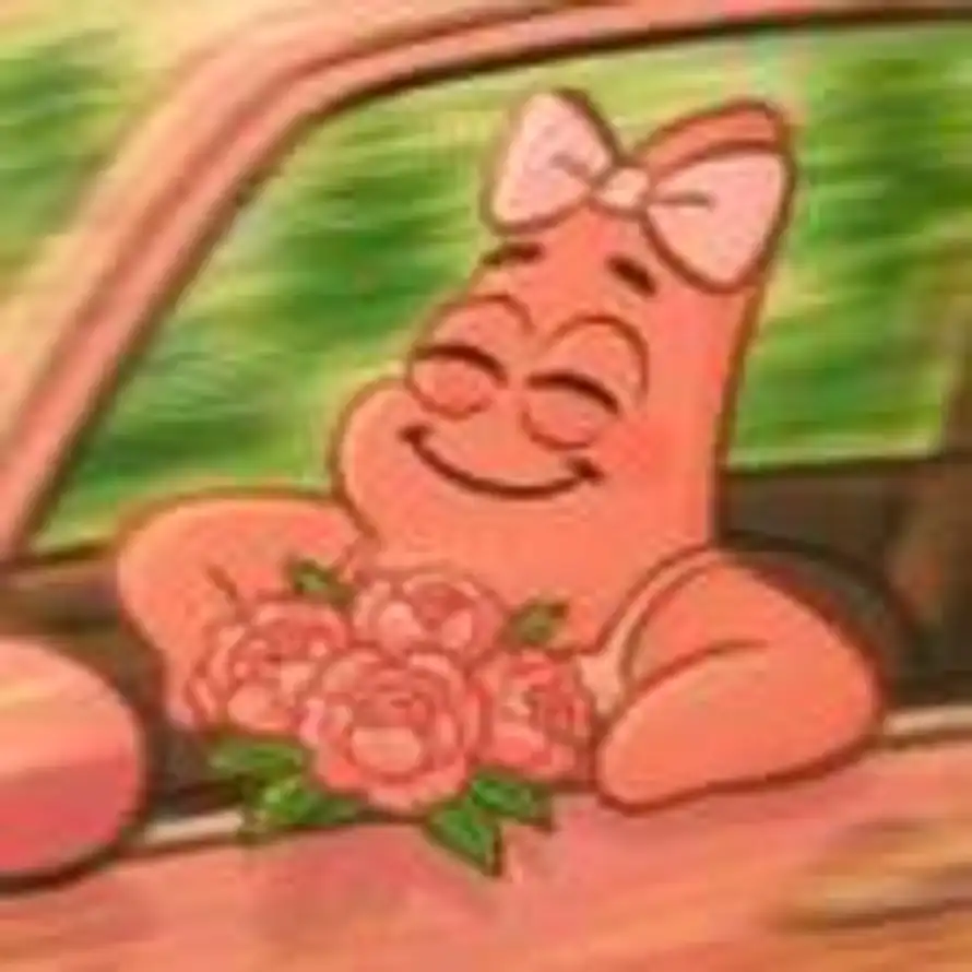 种豆得豆海的头像