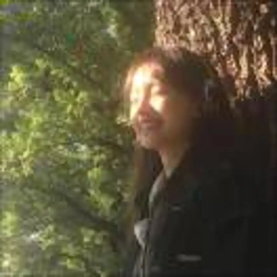 Z.的头像