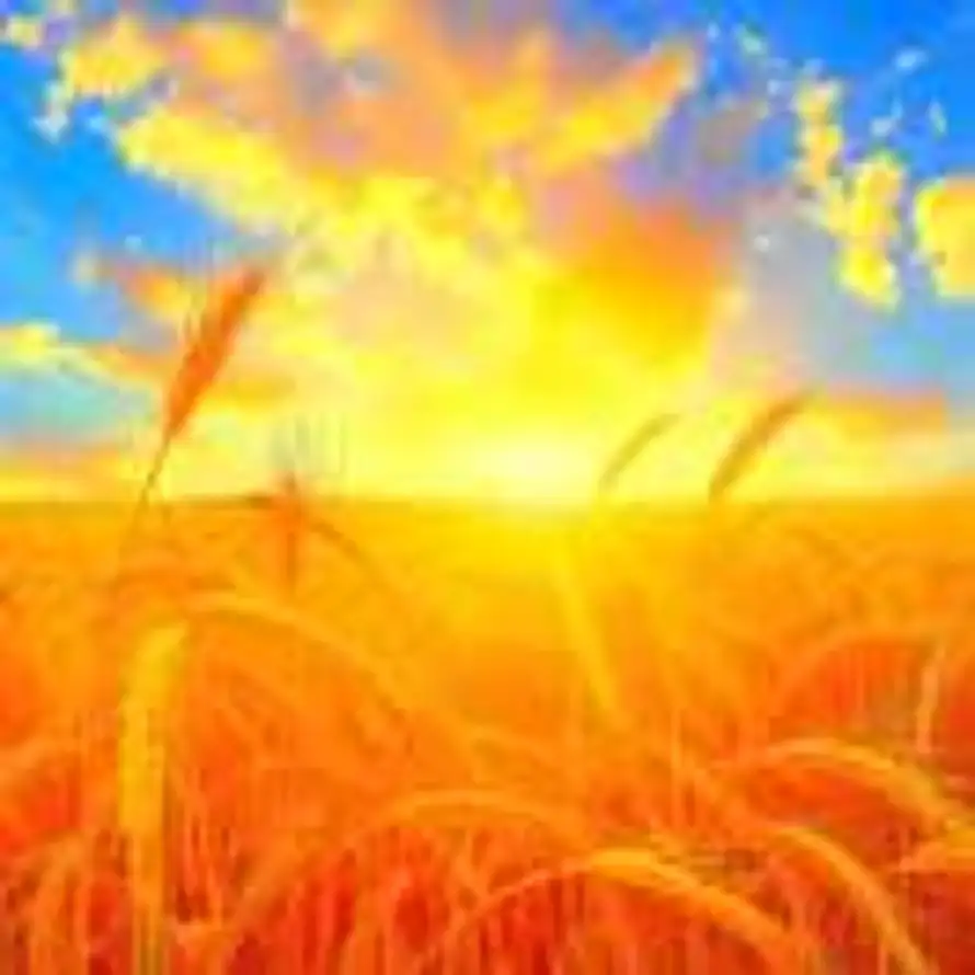 长江怀橘的头像