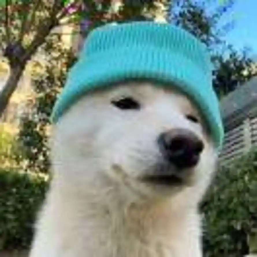 金牛先生的头像