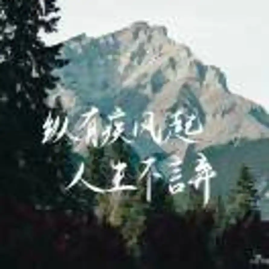 东风知我欲的头像