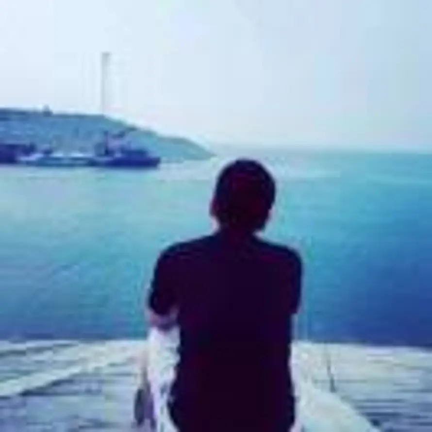 鴻運當頭的头像