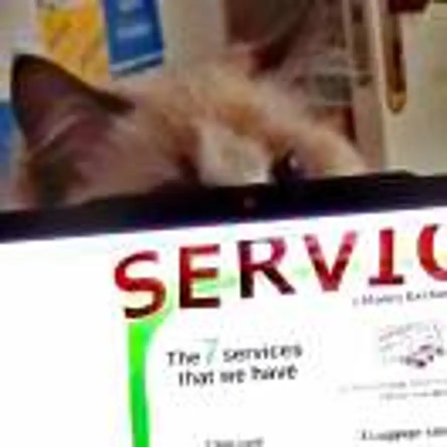 -折一个纸飞机-的头像