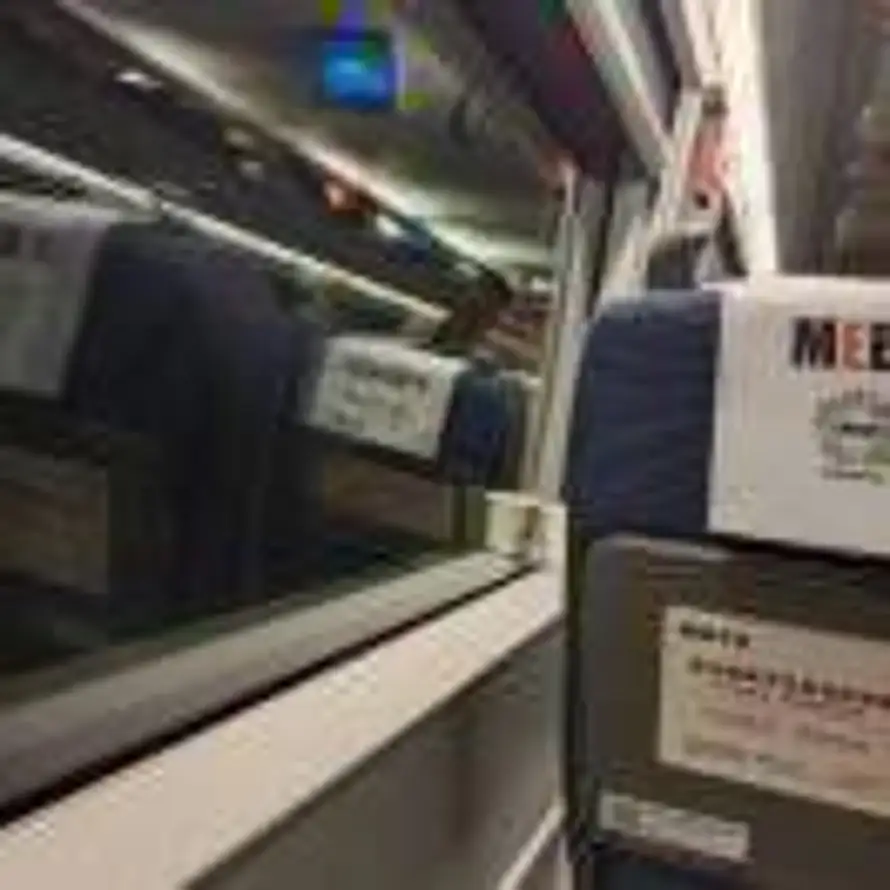 浪浪浪啊够够够的头像