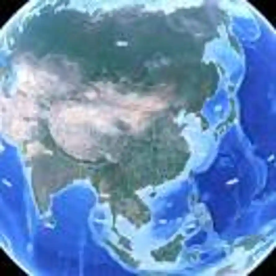 迈克老狼-李伟的头像