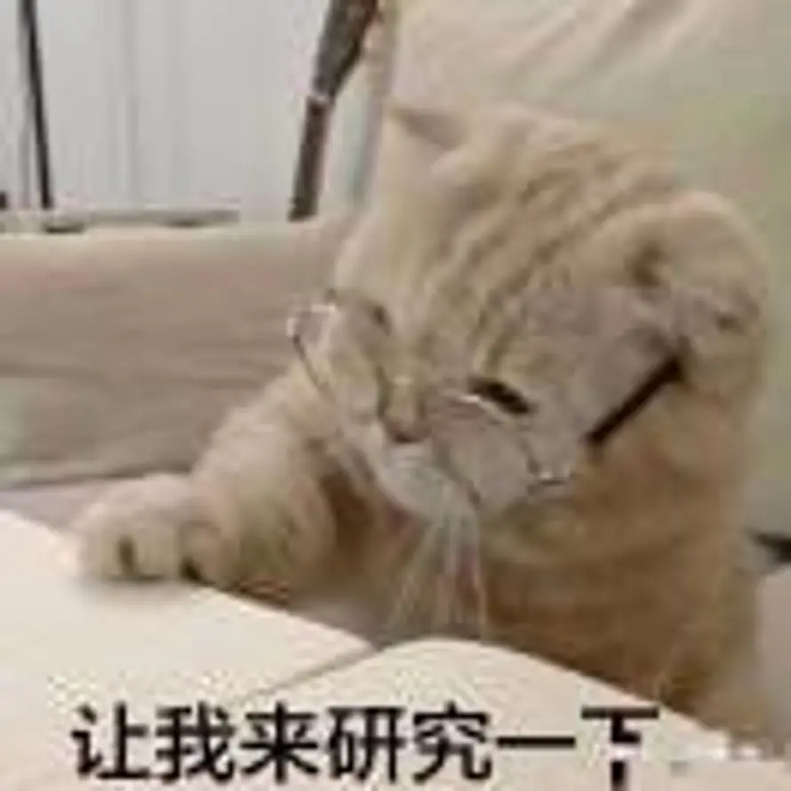 用户猫狸子的头像