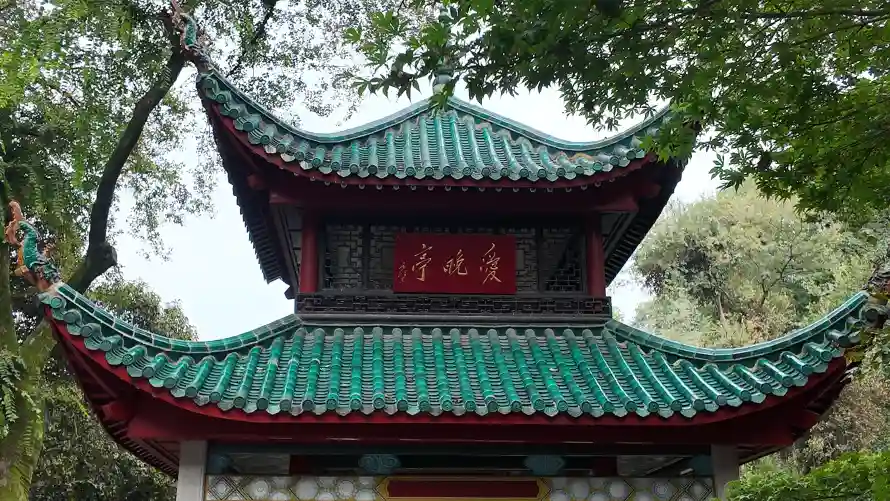 4k古树壁纸 - 岳麓山 - 爱晚亭 - 中式古亭「哲风壁纸」