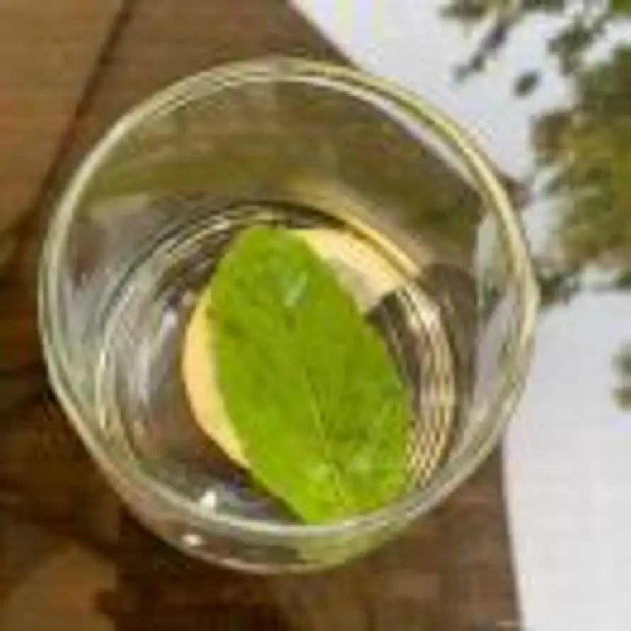 Biànqx（卞其祥）的头像