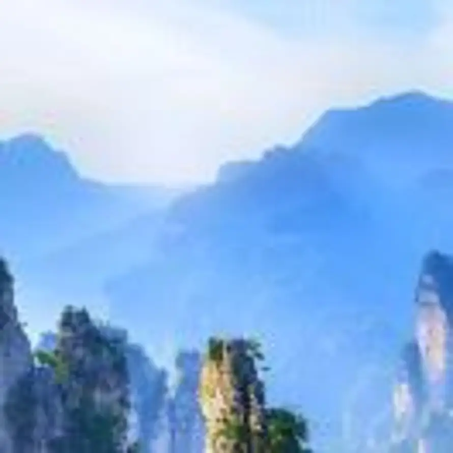 熠熠生辉的头像