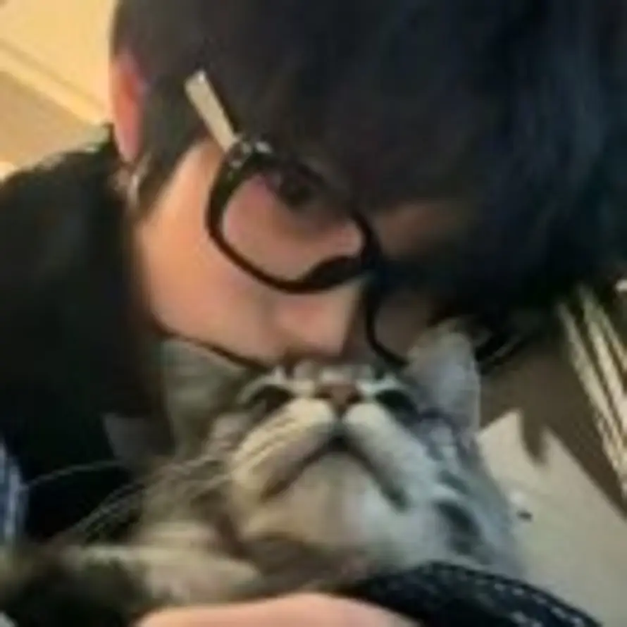 二氧化硫的头像