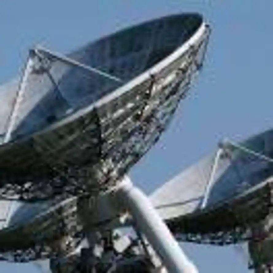 破碎蔷薇的头像