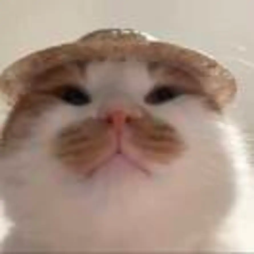 狗狗里头的头像