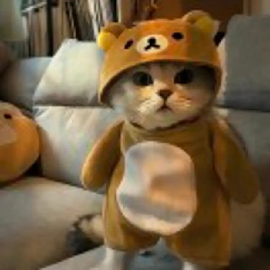 九局下半的头像