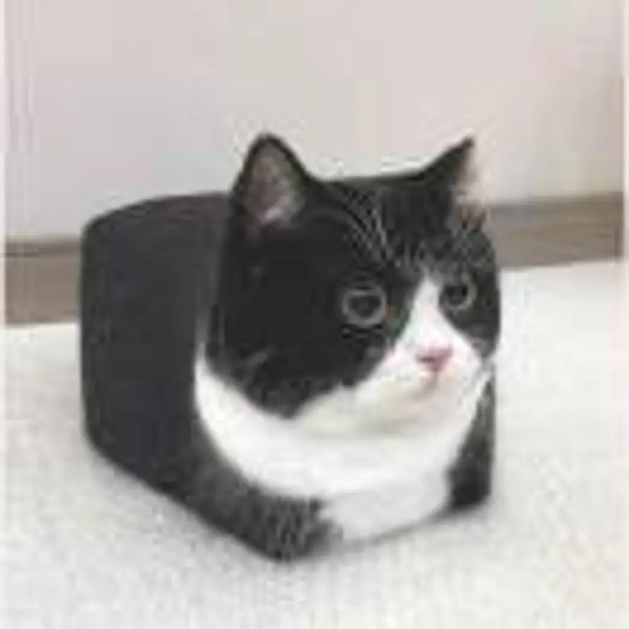 Super Universe的头像