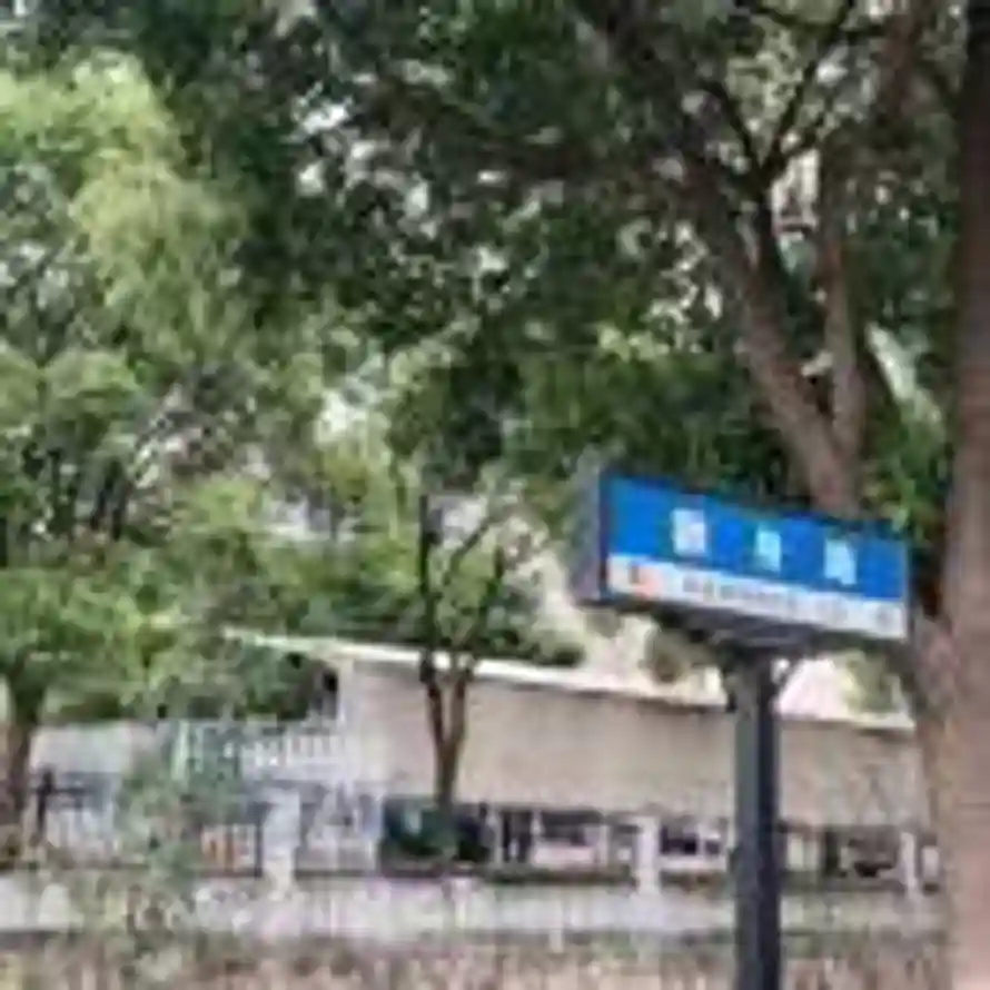 CanvasDreamer的头像