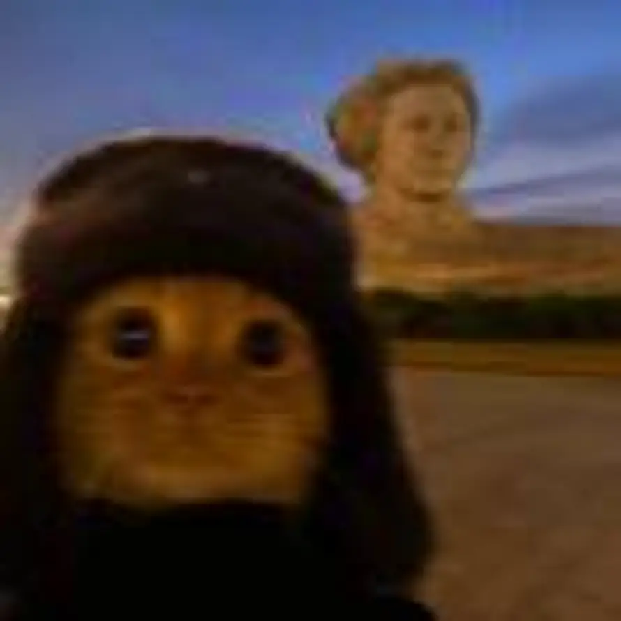 闻道朝夕的头像