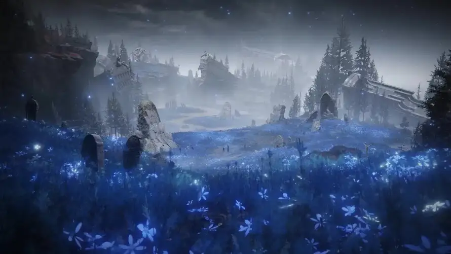 Favorite Image
