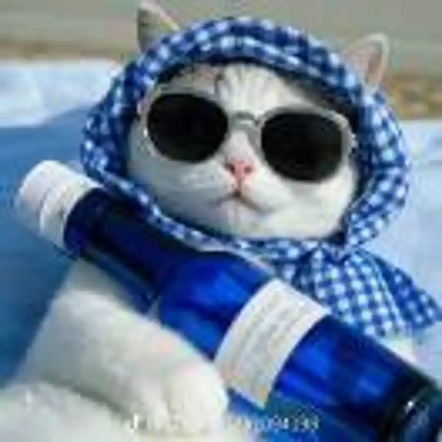 向阳而生🌻的头像