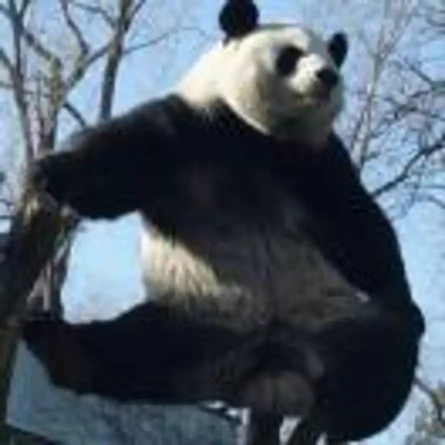 姓甚名什的头像