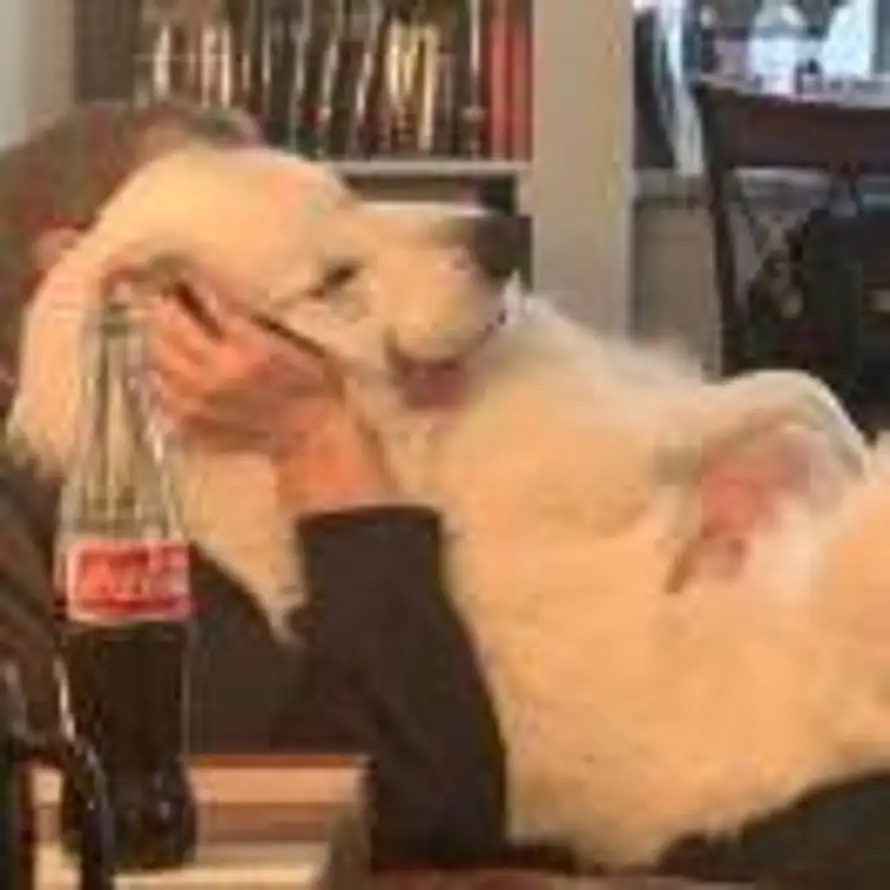 与冬恋枫.的头像