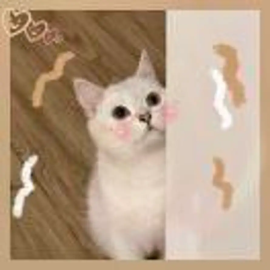 团团子🍡的头像