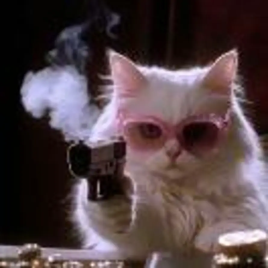 暴躁小铁锤ʸ的头像