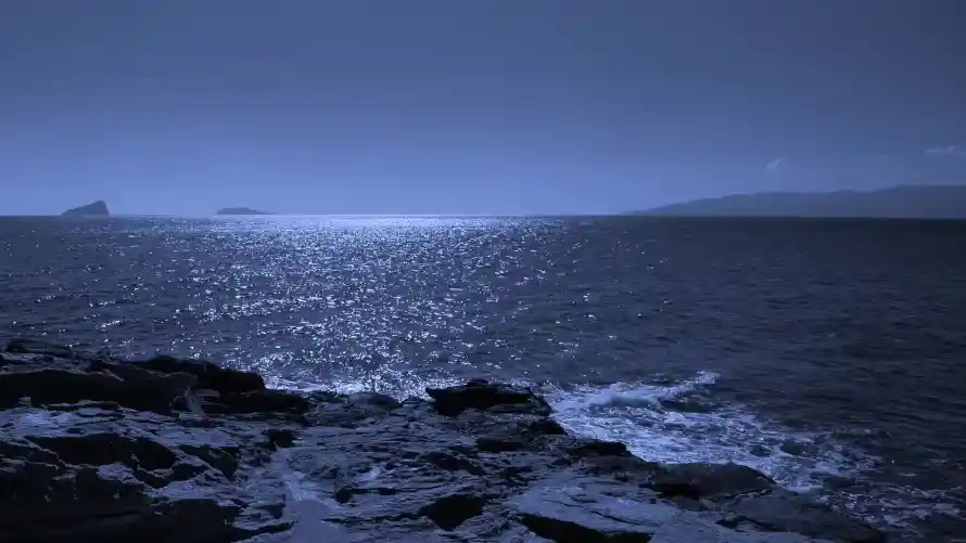 Favorite Image