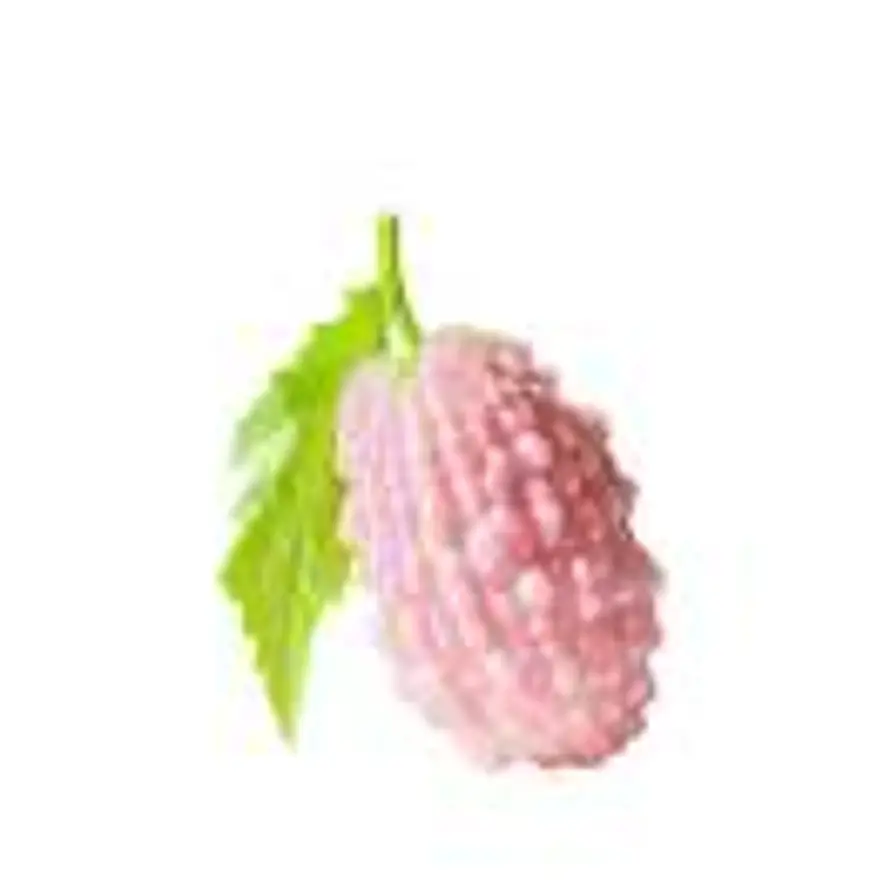 江南刘亦菲.的头像