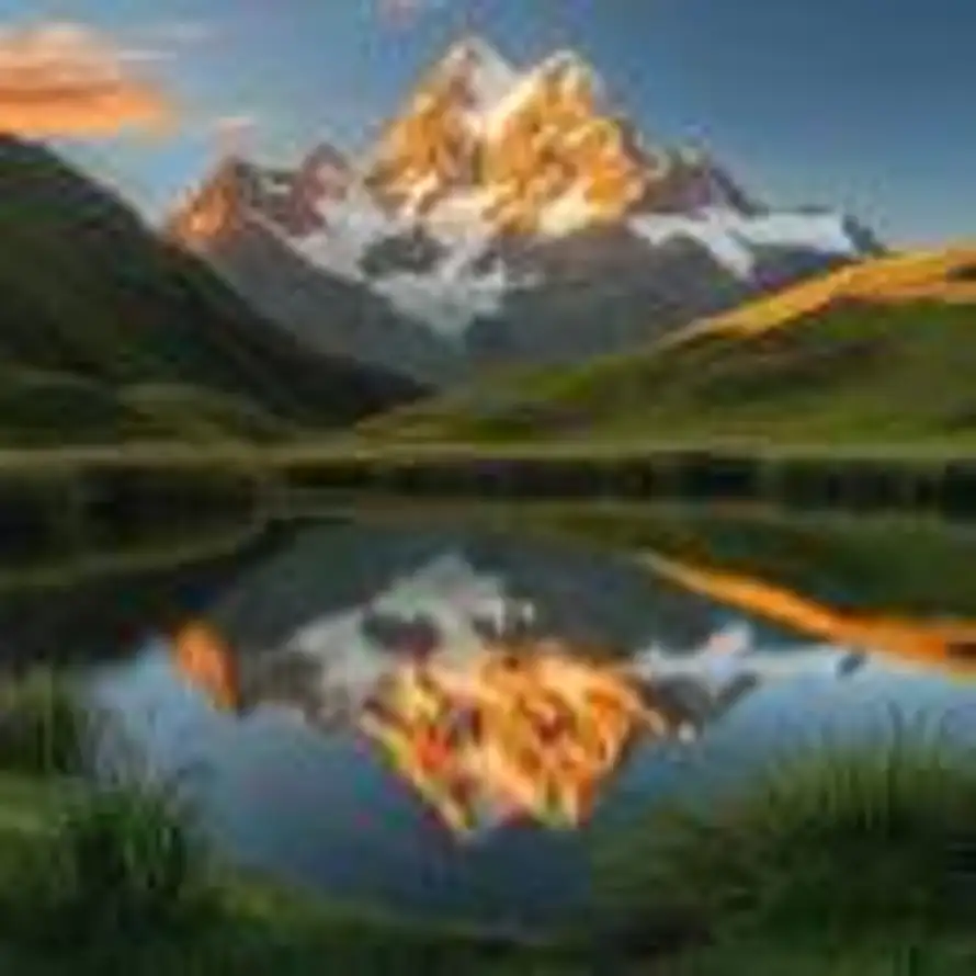 杨胜利💥的头像