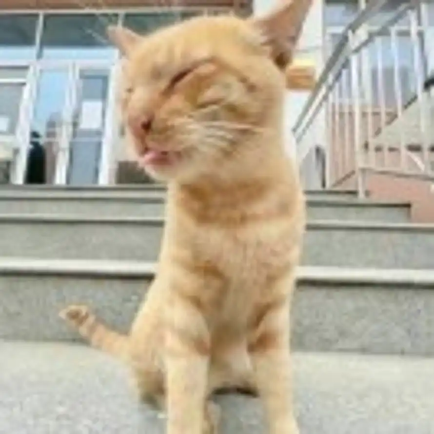 。的头像