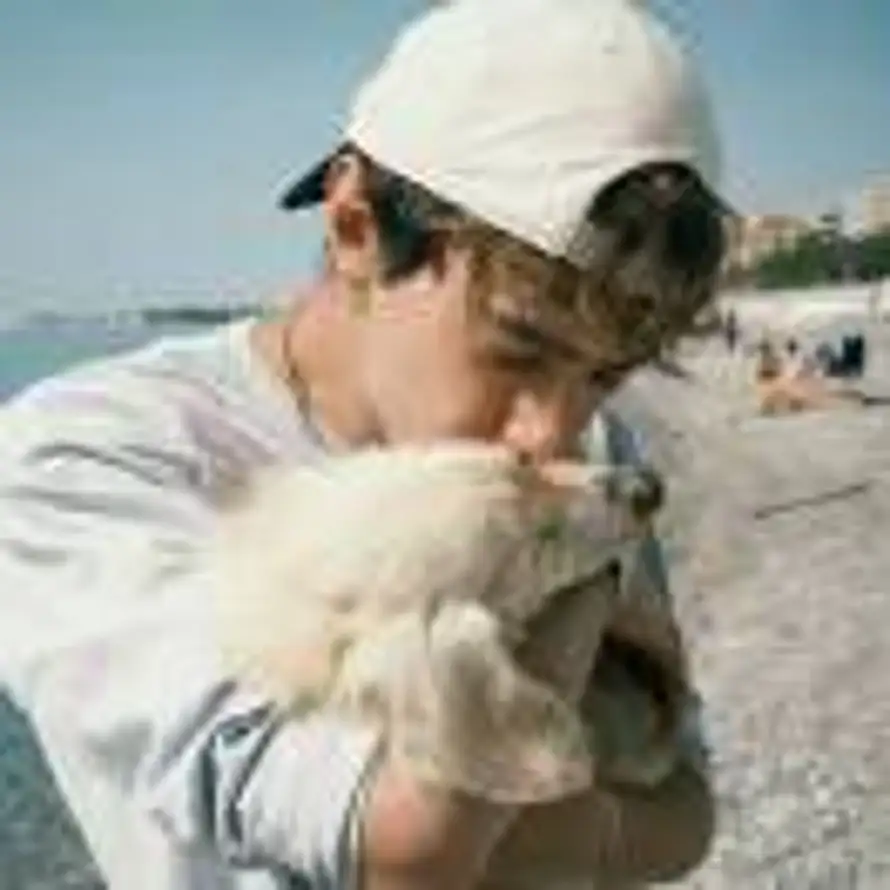 莫名其妙的头像