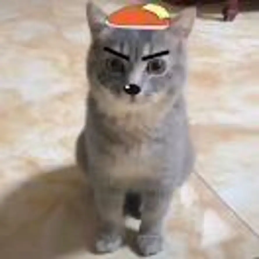 w的头像