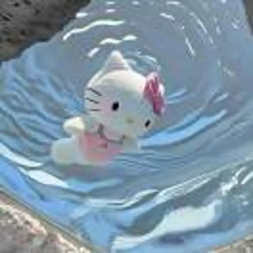 橘色日落的头像