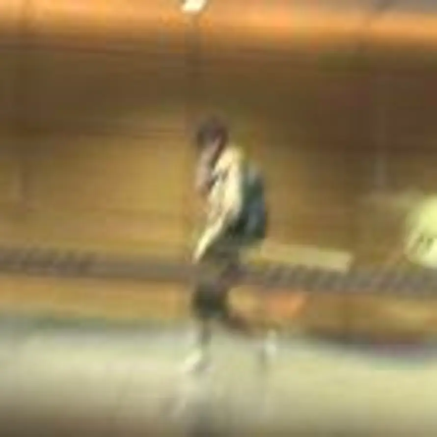 lyc抽王源的头像