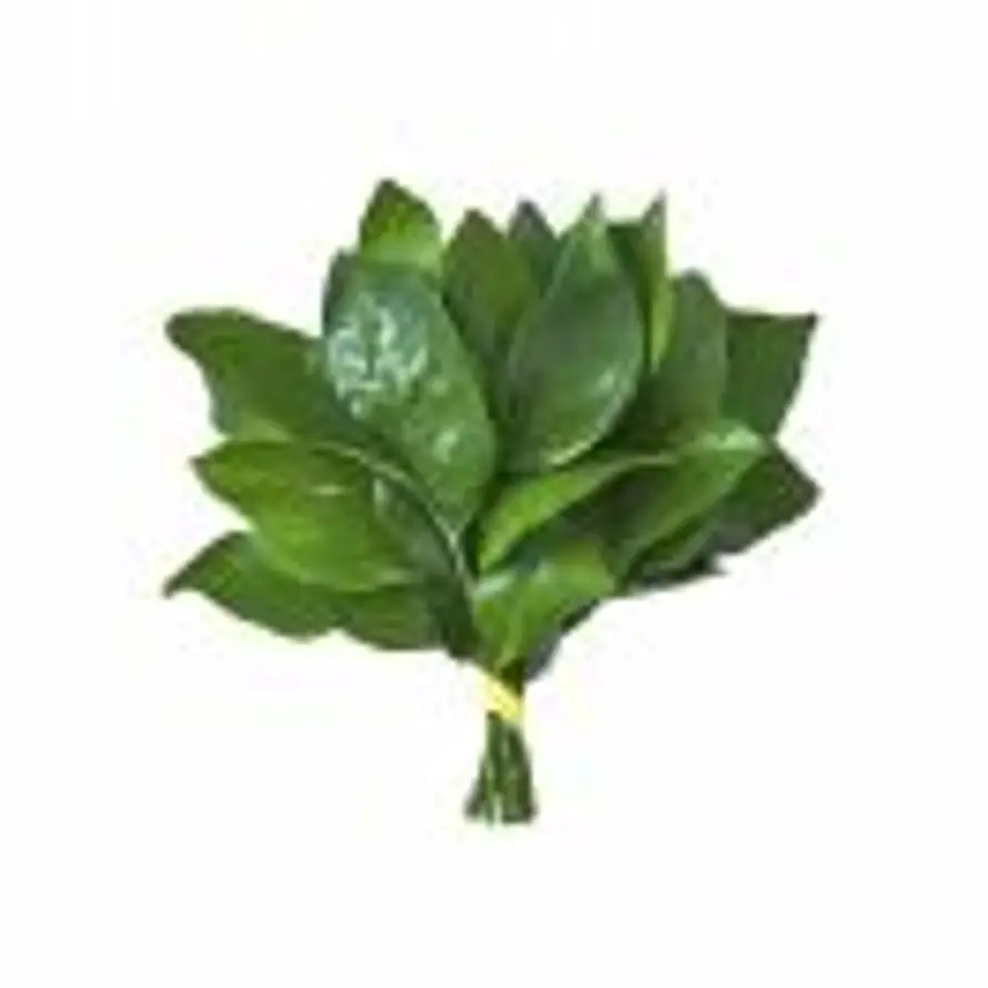 李太甜了的头像