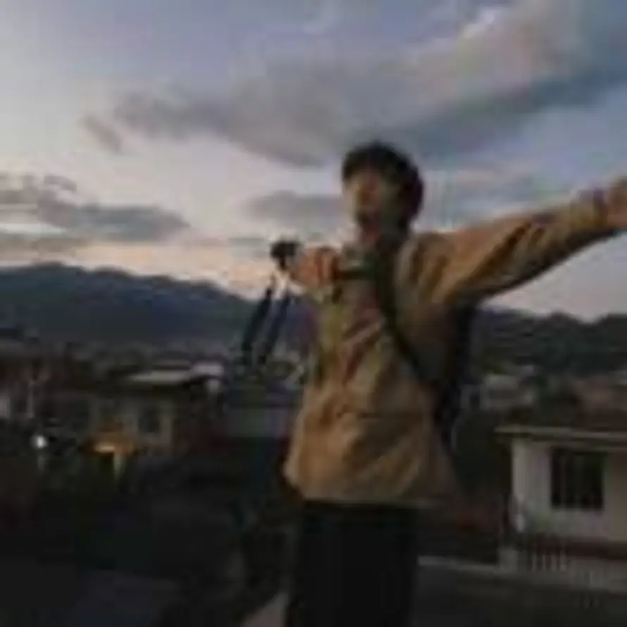 懒羊羊不吃韭菜的头像