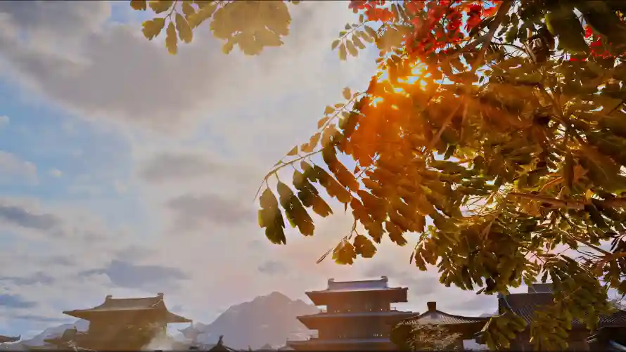 4k天空壁纸 - 树叶 - 阳光 - 风景「哲风壁纸」 4k天空壁纸 - 树叶 - 阳光 - 风景「哲风壁纸」