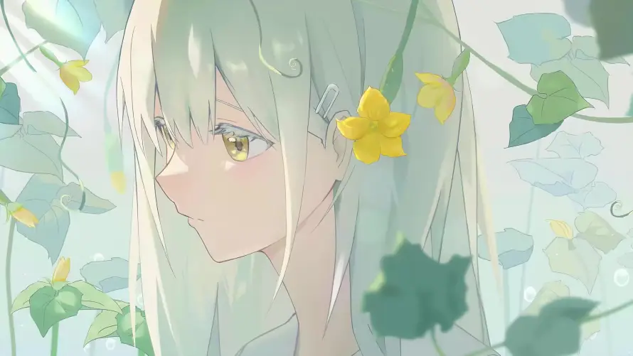 Favorite Image