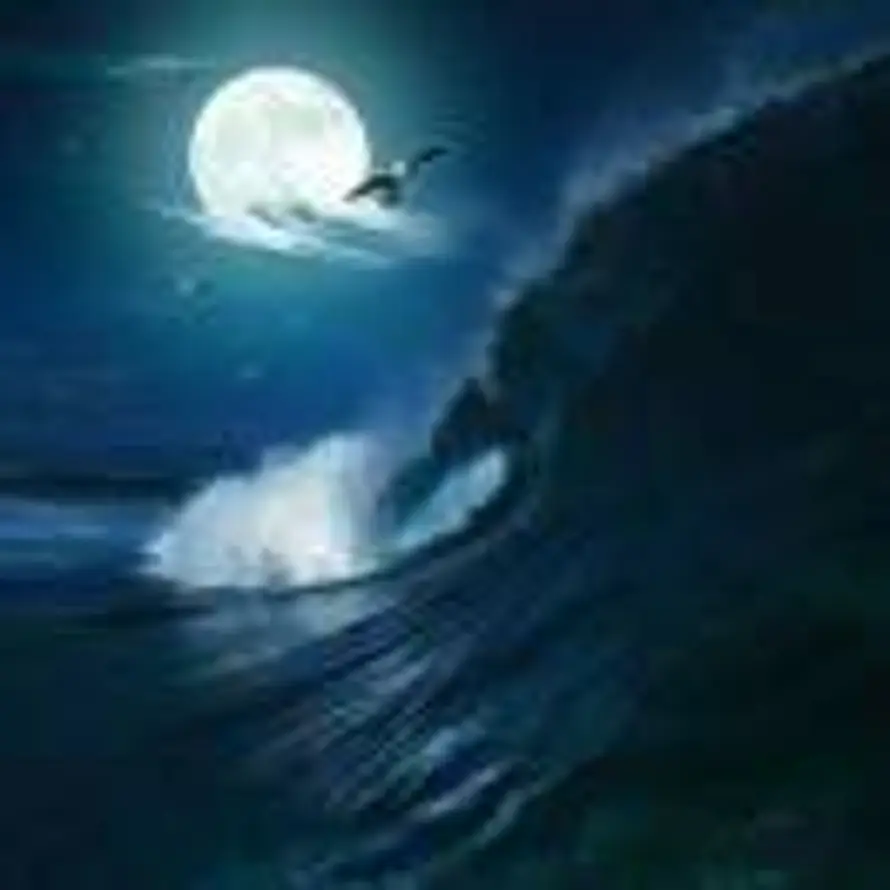 沧海潮升的头像